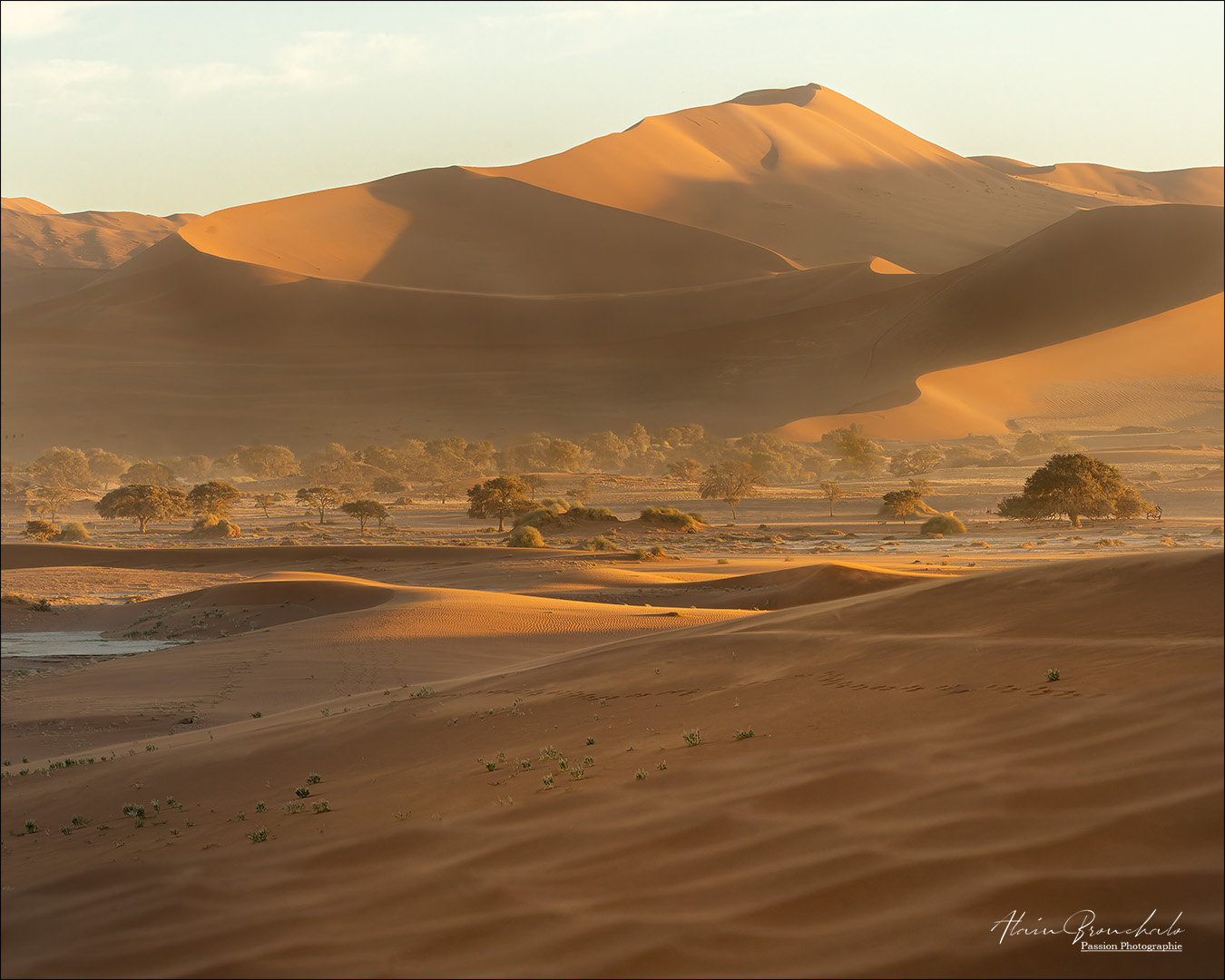 sossusvlei signée web