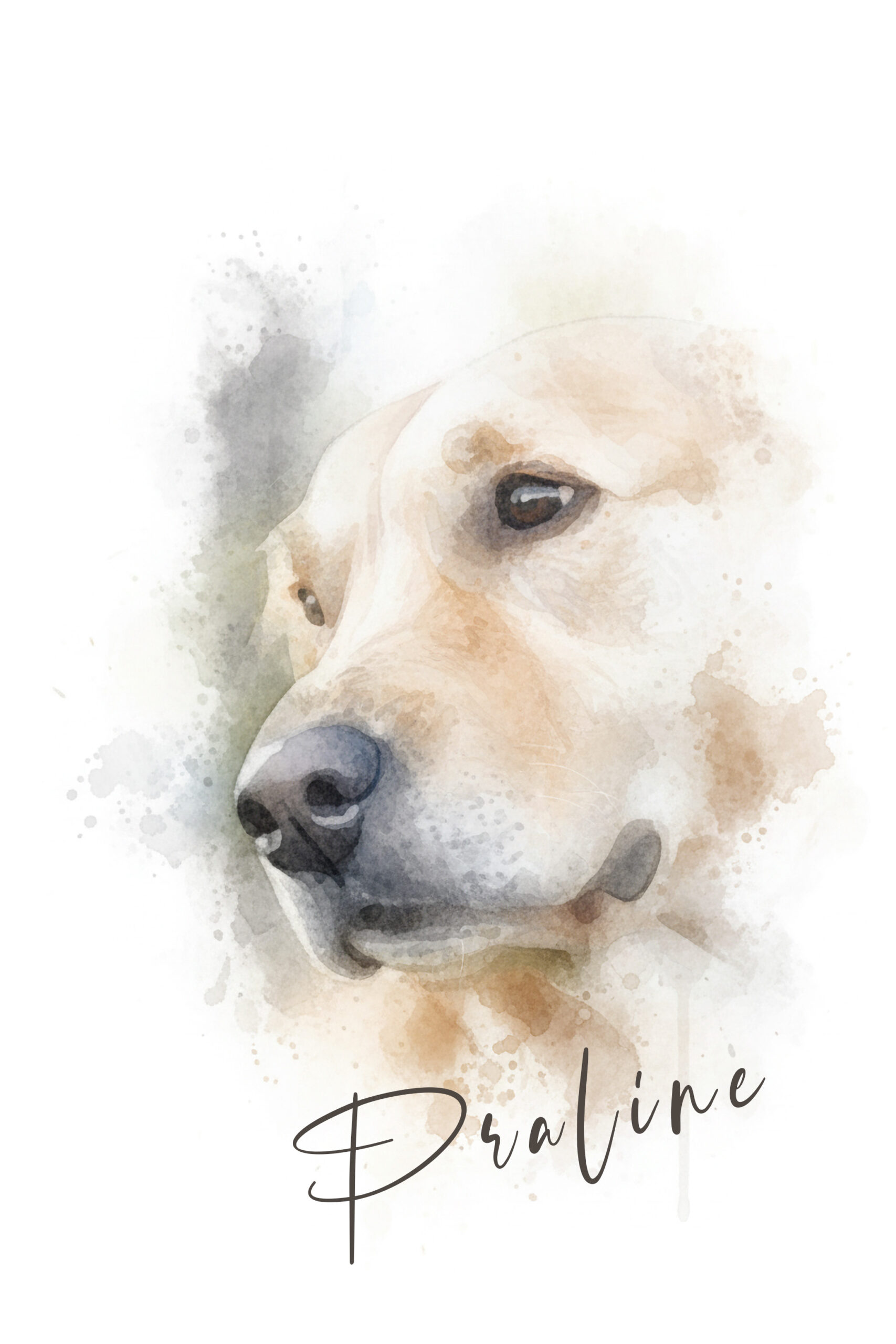 transfert praline ii